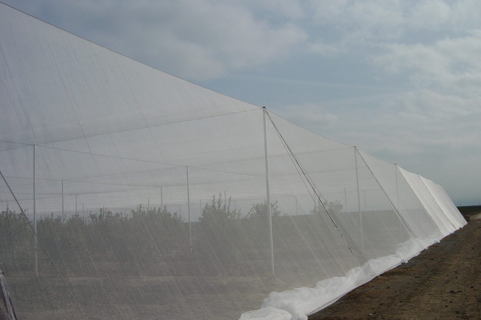 Shade Net Covered Structures